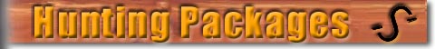 Exotic & Native Game Hunting Packages in Texas offered by Simmons Ranch in Burnet Texas. Also foundation bred quarter horses for breeding services, quarter horse colts for sale, roping horses for sale and correinte cattle for sale